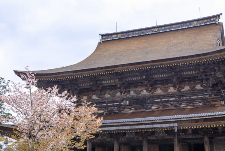 kinpusen-ji temple zao-do