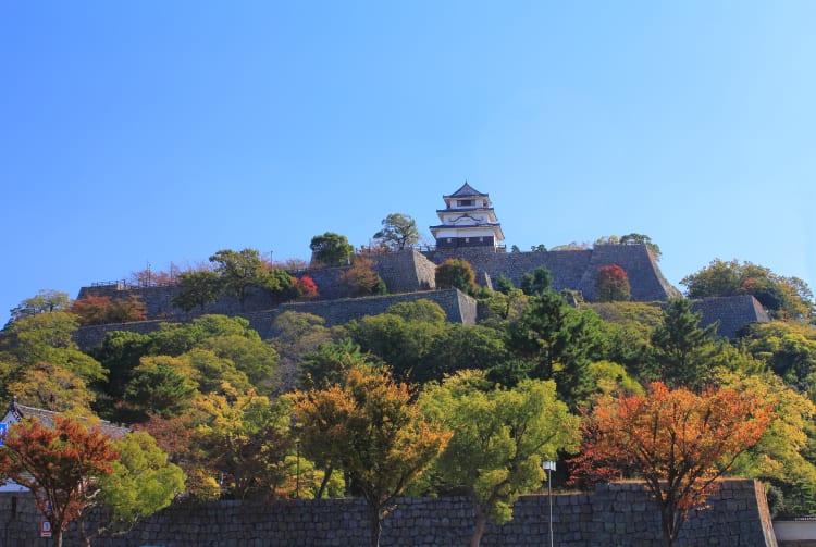 marugame castle