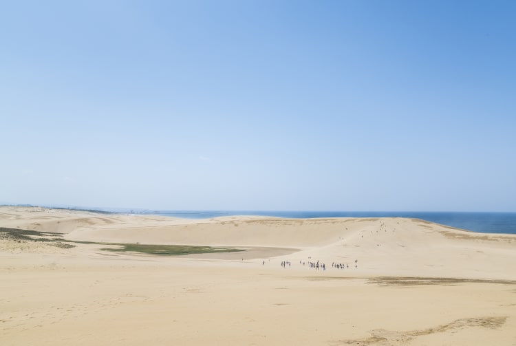 Tottori Sand Dunes