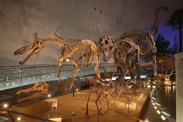 Fukui Prefectural Dinosaur Museum_mv