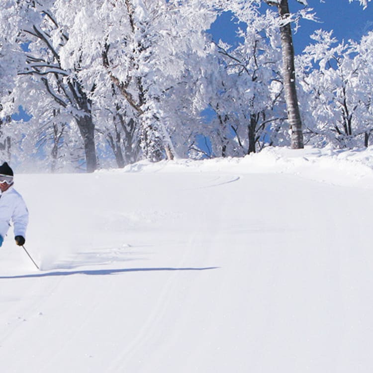 Ski Nagano Japan National Tourism Organization