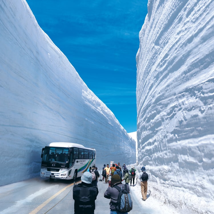 Alpine Route Tour Famous Place in Japan JNTO