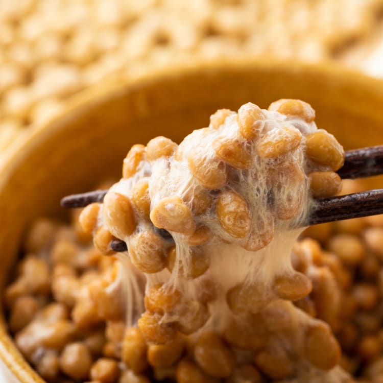 Natto 2024