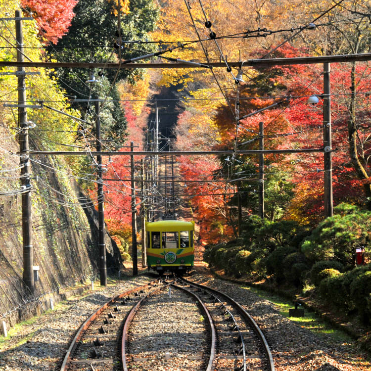 mt takao-san area