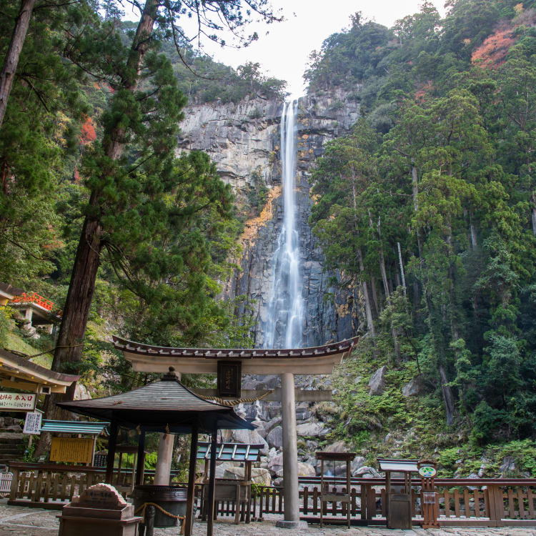 nachi waterfall