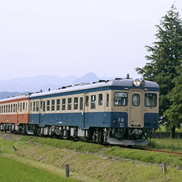 Other Lozal Railways