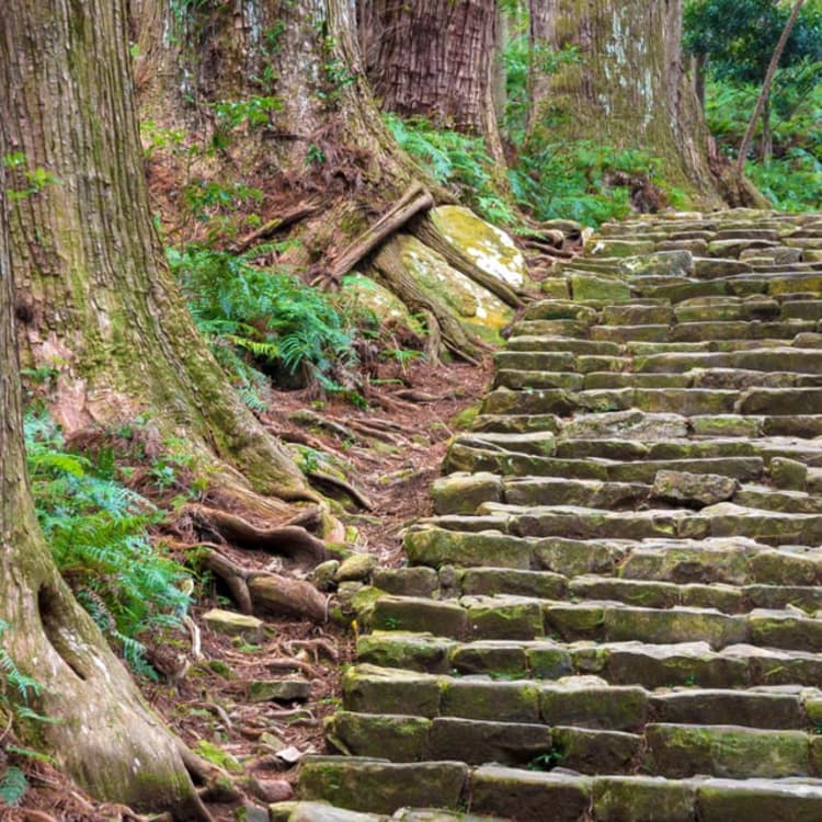 踏上熊野古道 日本旅遊 Jnto