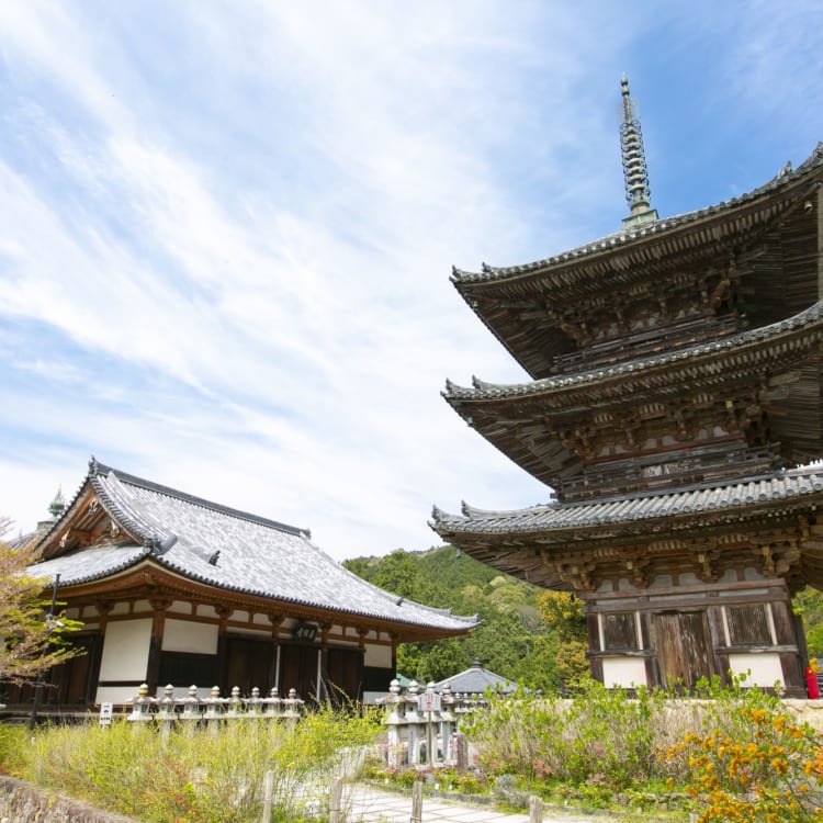 Kyoto: A Wealth Of Wonders, Travel