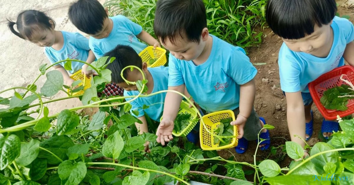 Sở Giáo Dục Đào tạo Cần Thơ