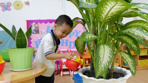 GÓC THỰC HÀNH CUỘC SỐNG: BÉ TỰ TAY TƯỚI MÁT CÂY XANH