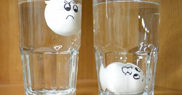 THÍ NGHIỆM KHOA HỌC ĐƠN GIẢN TẠI NHÀ VỚI NHỮNG TRÁI TRỨNG