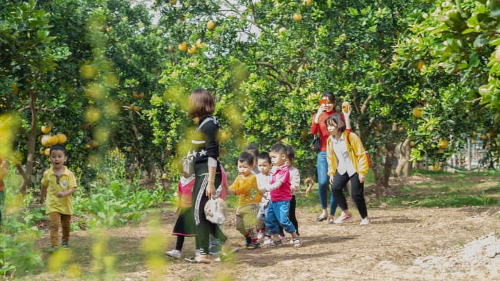 DANH SÁCH CÁC TRƯỜNG MẦM NON NHẬN TRẺ TỪ 6 THÁNG TUỔI QUẬN NAM TỪ LIÊM