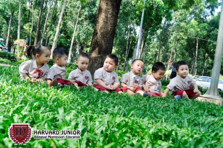 DANH SÁCH CÁC TRƯỜNG MẦM NON GIẢNG DẠY THEO PHƯƠNG PHÁP MONTESSORI KHU VỰC QUẬN PHÚ NHUẬN