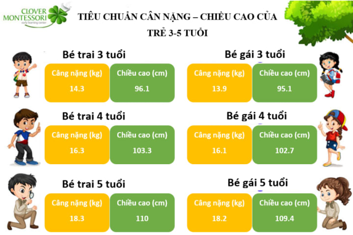 Tiêu chuẩn cân nặng- chiều cao của trẻ 3-5 tuổi