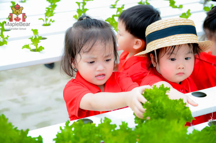 GIẢI ĐÁP TẤT TẦN TẬT THẮC MẮC CỦA BA MẸ VỀ MẦM NON MAPLE BEAR