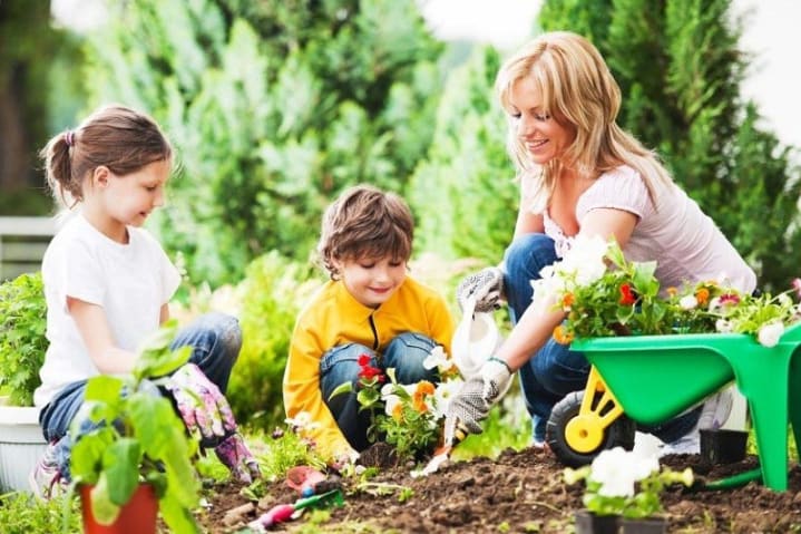 5 KỸ NĂNG SỐNG CHA MẸ NÀO CŨNG PHẢI DẠY CON