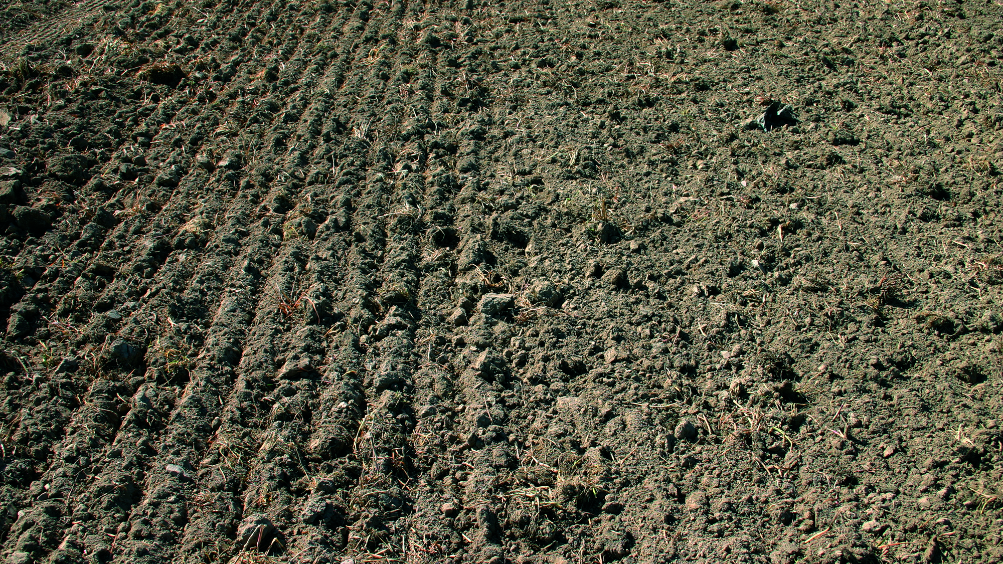 Rotago F - Seedbed preparation
