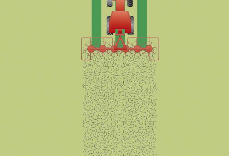 Oscillation Dampers 