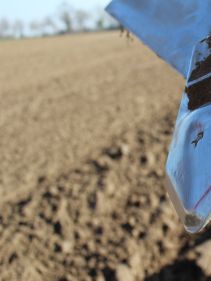 Stubble Cultivators - Kverneland Knock On System is the easiest way exchanging parts