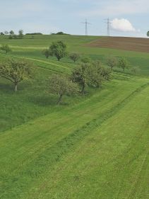 Four Rotor Rakes - VICON ANDEX 1304 PRO, super efficient in use during field operation with ISOBUS option