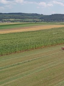 Four Rotor Rakes - VICON ANDEX 1304 PRO, super efficient in use during field operation with ISOBUS option