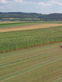 Four Rotor Rakes - VICON ANDEX 1304 PRO, super efficient in use during field operation with ISOBUS option