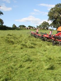 mounted tedders - VICON FANEX 554-684-764-904-1124, Central adjustment for border spreading keeping the crop inside the field.