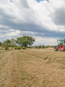 Tedders, Trailed - VICON FANEX 904C - 1124C, purpose-built for smaller tractor but will also operate with larger ones