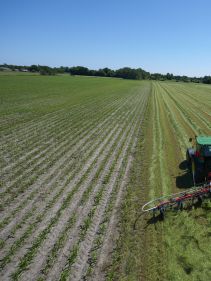 mounted tedders - VICON FANEX 554-684-764-904-1124, Central adjustment for border spreading keeping the crop inside the field.