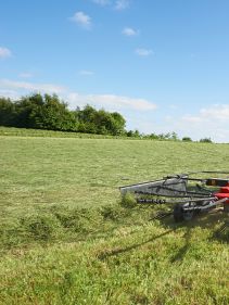 Single Rotor Rakes - VICON ANDEX 323-353-394-424T-434-474T, designed for low power tractors, but still provides great working width