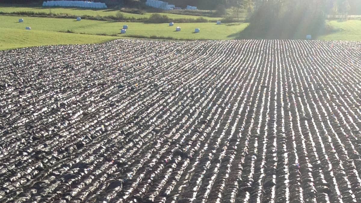 Pourquoi labourer avec une charrue Kverneland ?