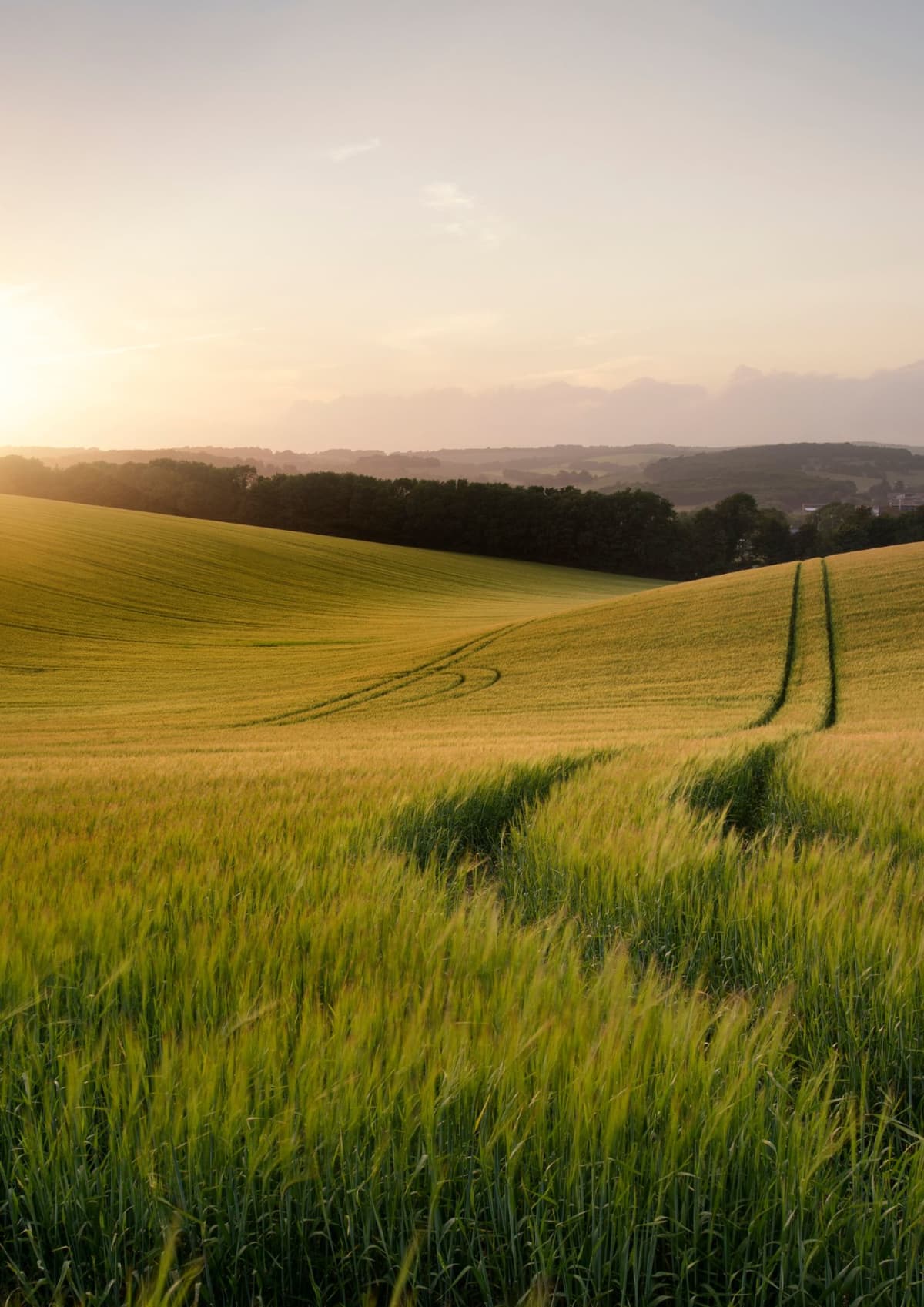 Vicon - Campagna Finanziaria TREND - Tasso 1.89%