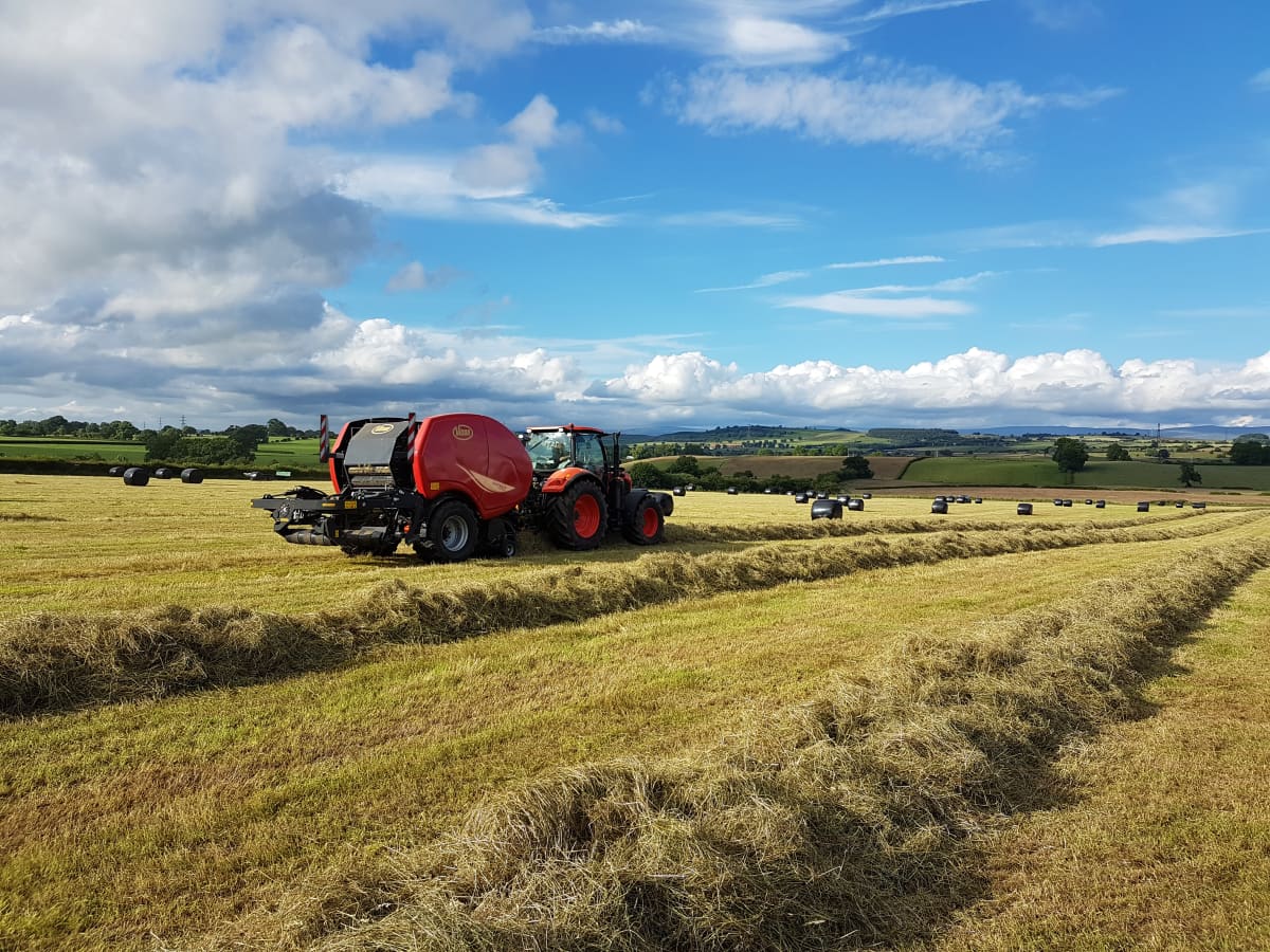 Rete per rotoballe a sospensione