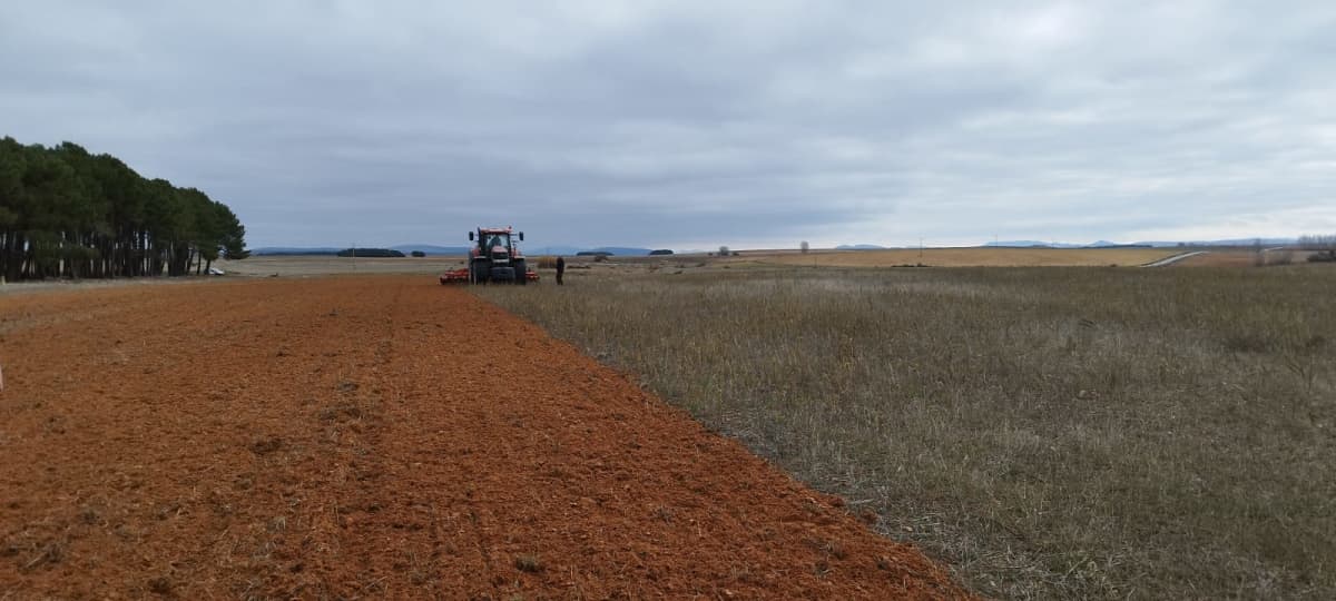 El semichísel Turbo permite el desterronado en primera pasada directamente sobre el rastrojo.  Puede aprovecharse el excelente lecho de siembra que consigue para provocar la otoñada y convertirse en una herramienta clave de la escarda mecánica en sustitución del uso de herbicidas que progresivamente van generando resistencias en distintas variedades de malas hierbas. La correcta elección del rodillo trasero favorecerá en mayor o menor medida la germinación del cultivo o del banco de semillas que haya en el terreno.