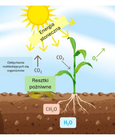 CO2 emissions and Ploughing - plant image