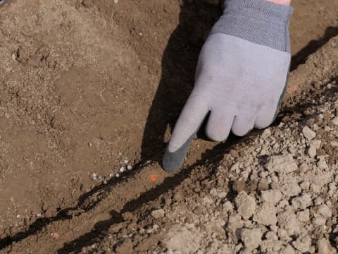 Close-up of a gloved hand placing fertilizer and seeds into the soil during a Kverneland PUDAMA demo, showing precise seed placement technology for improved crop establishment and nutrient efficiency.