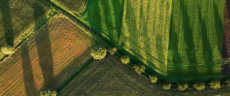 Campagna Finanziaria Twenty - tasso 0%