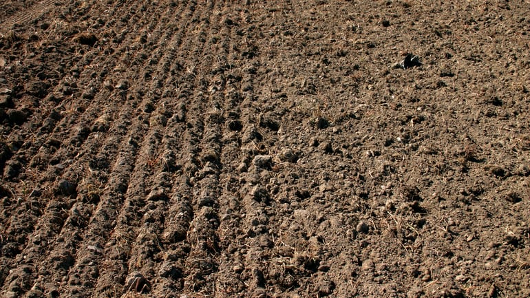 Rotago F - Seedbed preparation