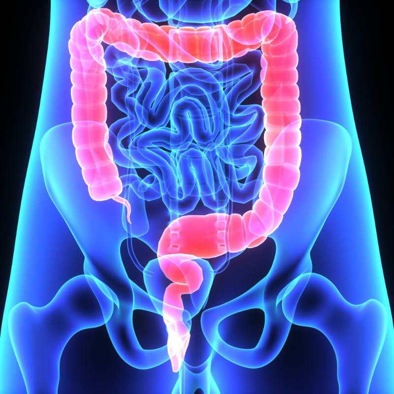Beetroot as a Colon Cleanser and Why It Is Good for Your Body