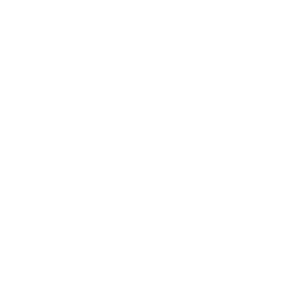 New Hope Production logo