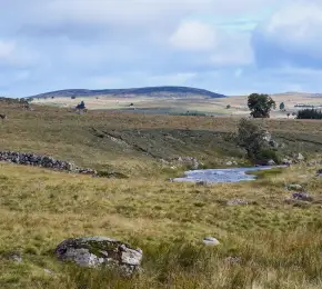 Pharmacie à vendre dans le département Aveyron sur Ouipharma.fr