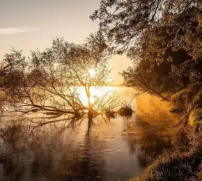 Pharmacie à vendre dans le département Charente sur Ouipharma.fr