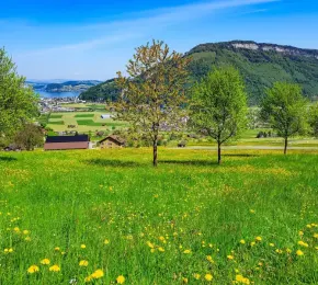 Pharmacie à vendre dans le département Haute-Saône sur Ouipharma.fr
