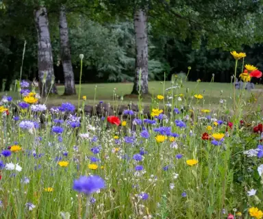 Image pharmacie dans le département Allier sur Ouipharma.fr