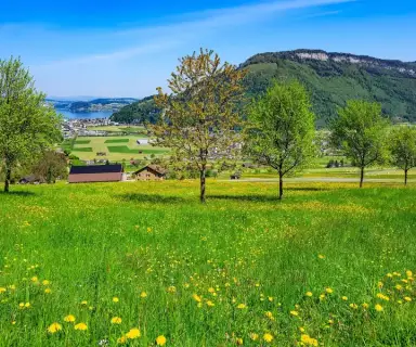 Image pharmacie dans le département Haute-Saône sur Ouipharma.fr