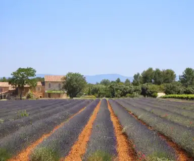 Image pharmacie dans le département Drôme sur Ouipharma.fr
