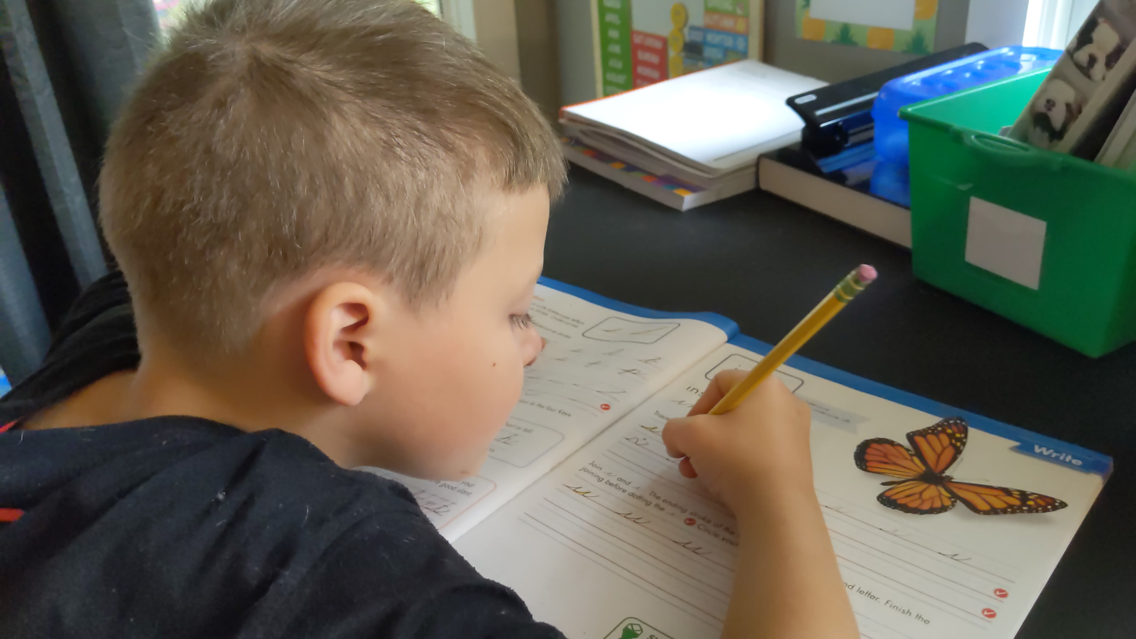 What to Do About Homework If You Homeschool | Minno Kids