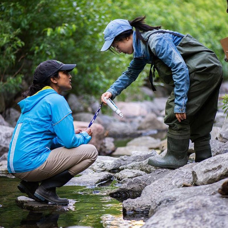 Become a Citizen Scientist and Monitor Environmental Changes