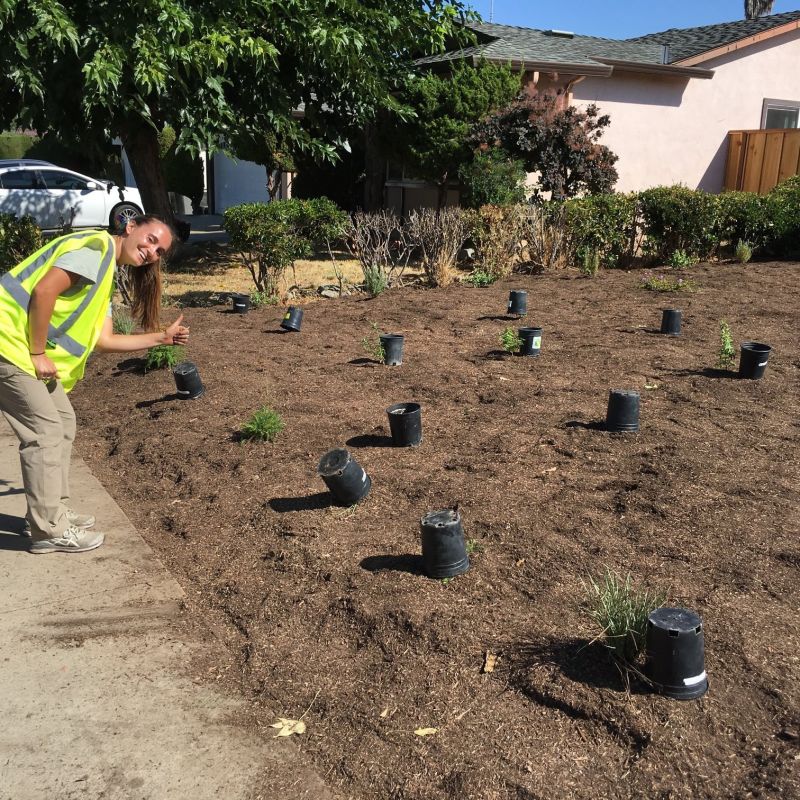 Transform Your Lawn into a Sustainable Drought-Tolerant Ecosystem