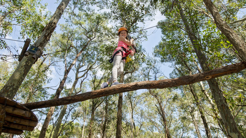 High Ropes Climbing Course with Flying Foxes - Newcastle